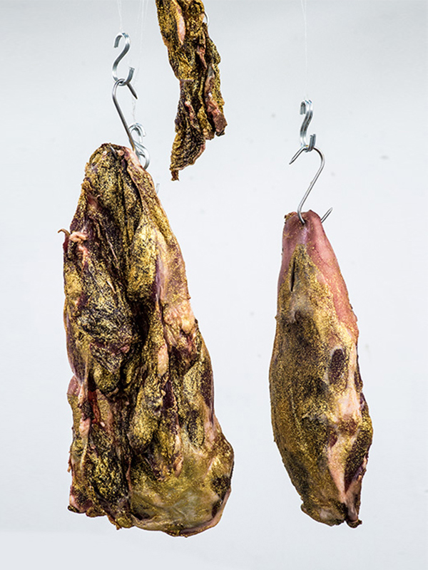 STILL LIFE TRANS-FORMER